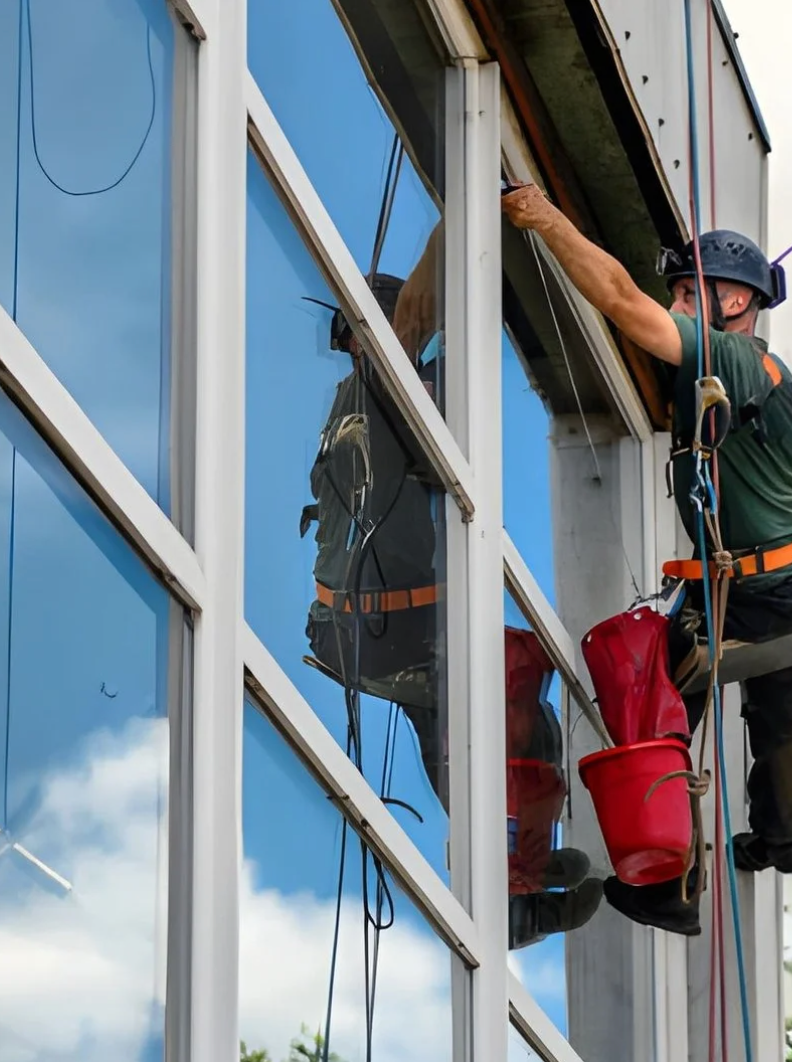 <Avelora Cleaning Services